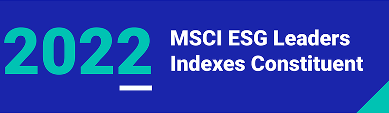 https://www.msci.com/our-solutions/indexes/esg-indexes