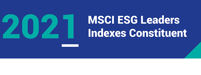 https://www.msci.com/our-solutions/indexes/esg-indexes